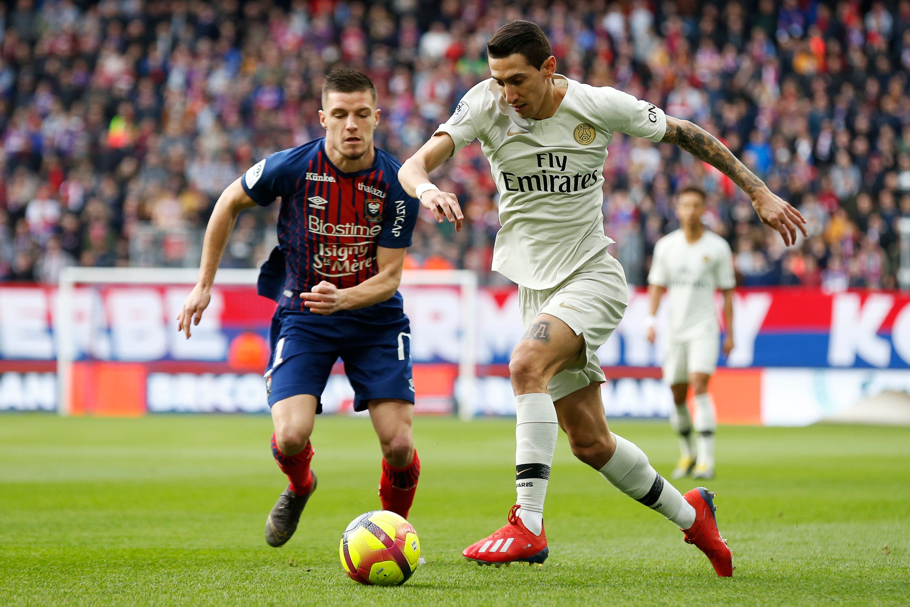 世界棒球经 世界棒球经