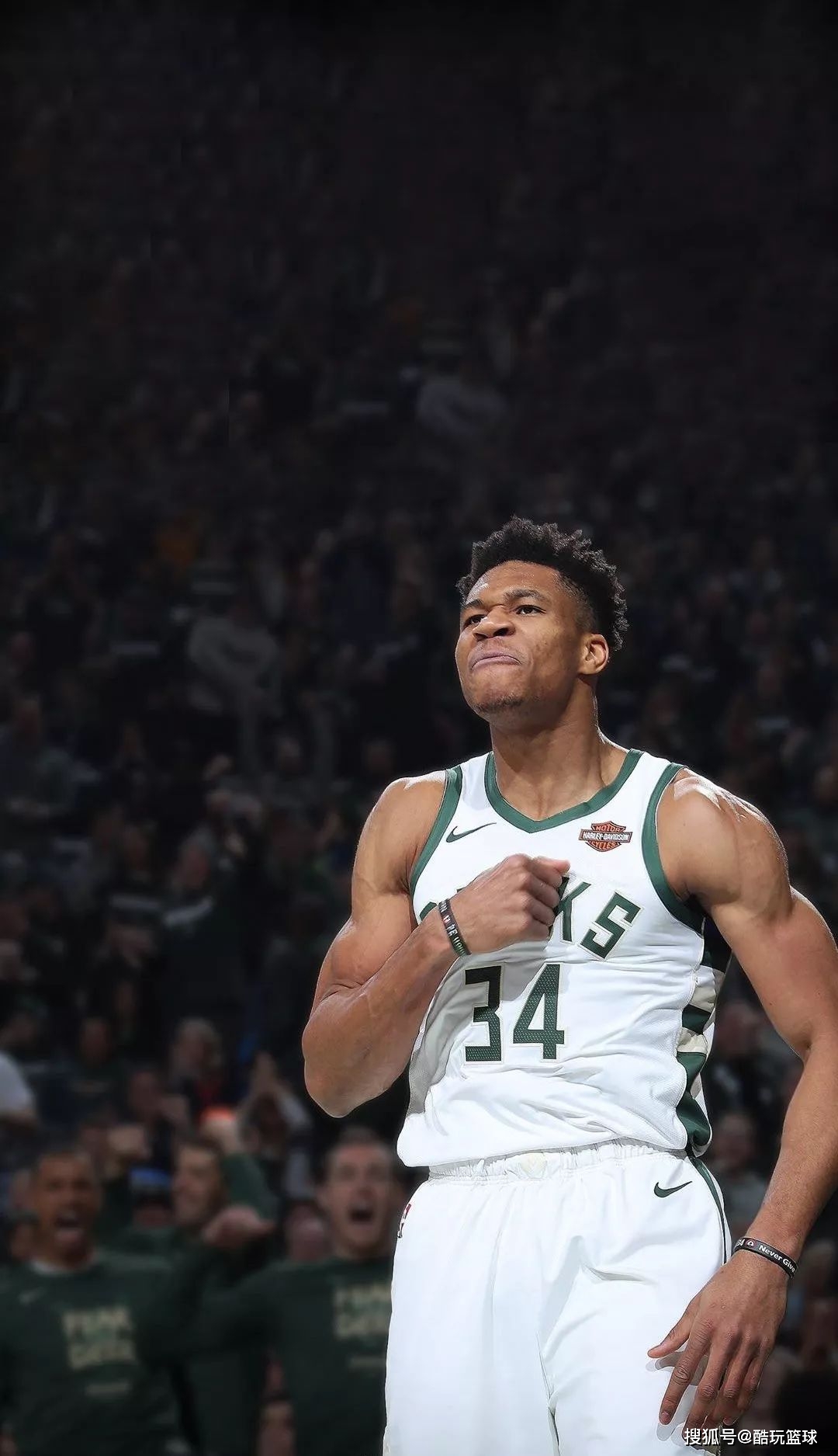 位延误掩护 位延误掩护